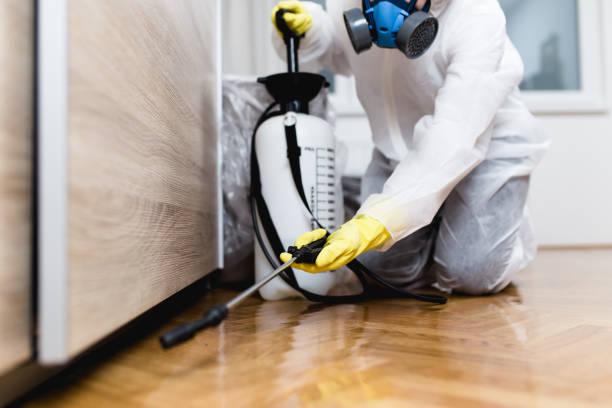 Pest Control Cost in Harwich Center, MA